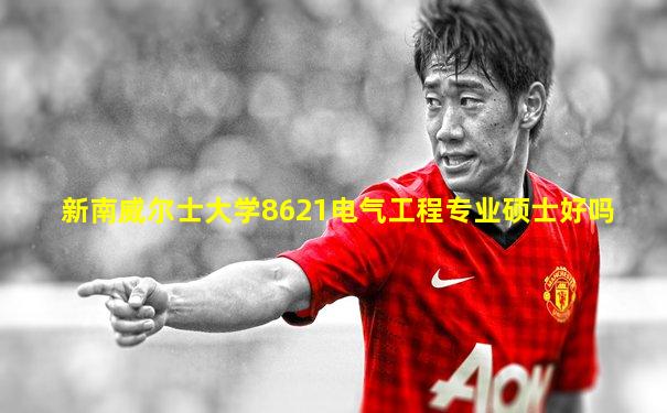 新南威尔士大学8621电气工程专业硕士好吗