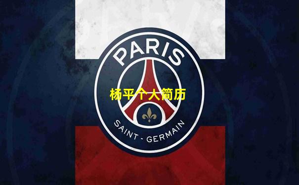 杨平个人简历