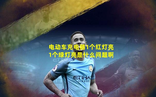 电动车充电器1个红灯亮1个绿灯亮是什么问题啊
