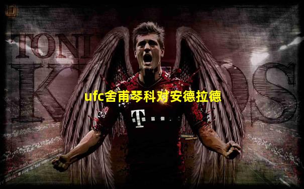 ufc舍甫琴科对安德拉德