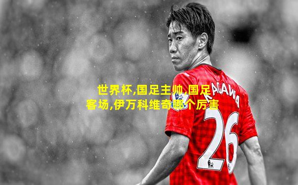 世界杯,国足主帅,国足客场,伊万科维奇哪个厉害