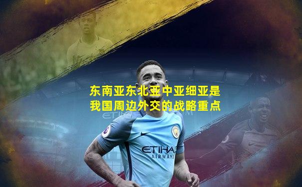 东南亚东北亚中亚细亚是我国周边外交的战略重点