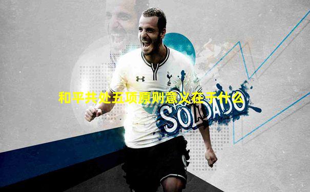 和平共处五项原则意义在于什么
