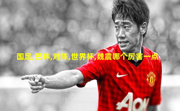 国足,巴林,对阵,世界杯,魏震哪个厉害一点