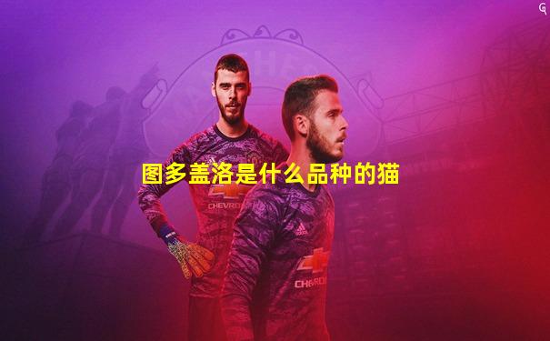图多盖洛是什么品种的猫