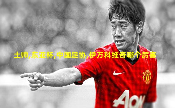 土帅,东亚杯,中国足协,伊万科维奇哪个厉害