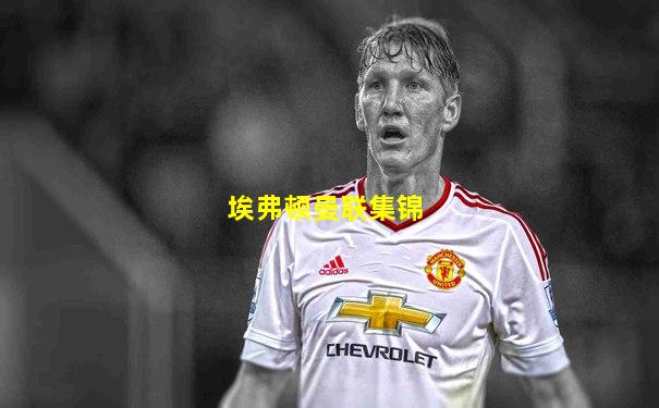 埃弗顿曼联集锦