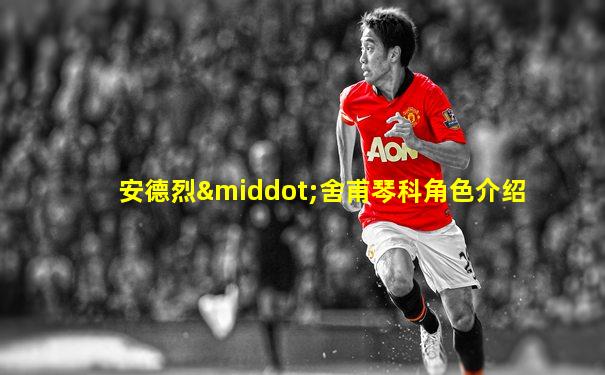 安德烈·舍甫琴科角色介绍