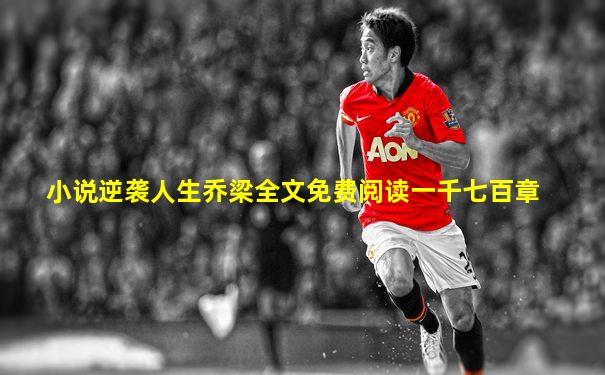 小说逆袭人生乔梁全文免费阅读一千七百章