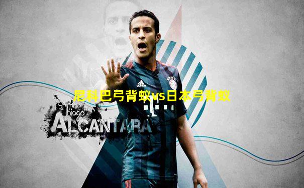 尼科巴弓背蚁vs日本弓背蚁