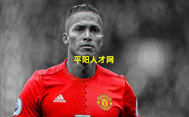平阳人才网