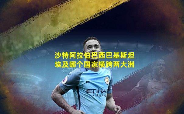 沙特阿拉伯巴西巴基斯坦埃及哪个国家横跨两大洲