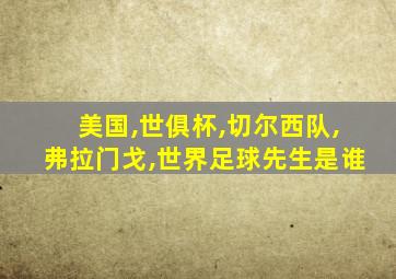 美国,世俱杯,切尔西队,弗拉门戈,世界足球先生是谁