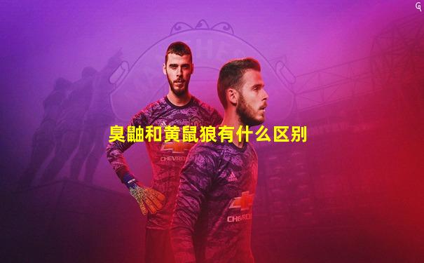 臭鼬和黄鼠狼有什么区别