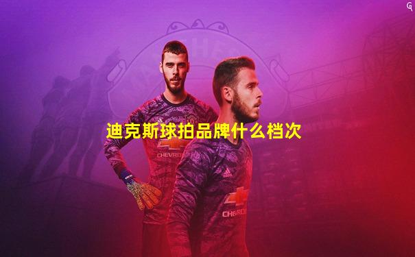 迪克斯球拍品牌什么档次
