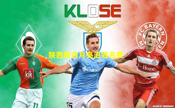 陕西联合月亮泊冠名费